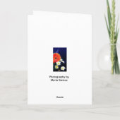 Spaans: Het is een meisje! Una Niña! Aankondiging (Achterkant)