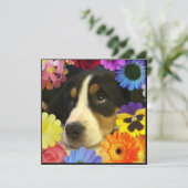 Spaans: Invitación de cumpleaños/Birthday Kaart (Staand voorkant)