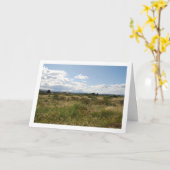 Spaans landschap, Valencia, Spanje Kaart (Gele Bloem)