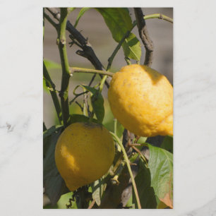 Spaans lemon grafische kaart