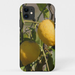 Spaans lemon grafische kaart iPhone 11 hoesje