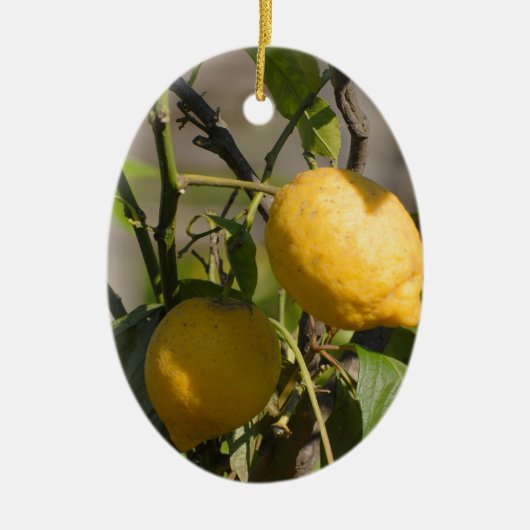 Spaans lemon grafische kaart keramisch ornament (Voorkant)