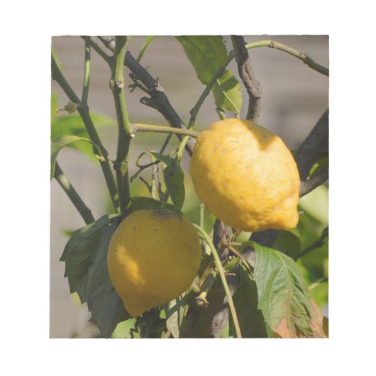 Spaans lemon grafische kaart notitieblok (Voorkant)