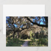 Spaans Mos Notitiekaartje (Voorkant / Achterkant)