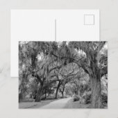 Spaans Mos, Park Briefkaart (Voorkant / Achterkant)