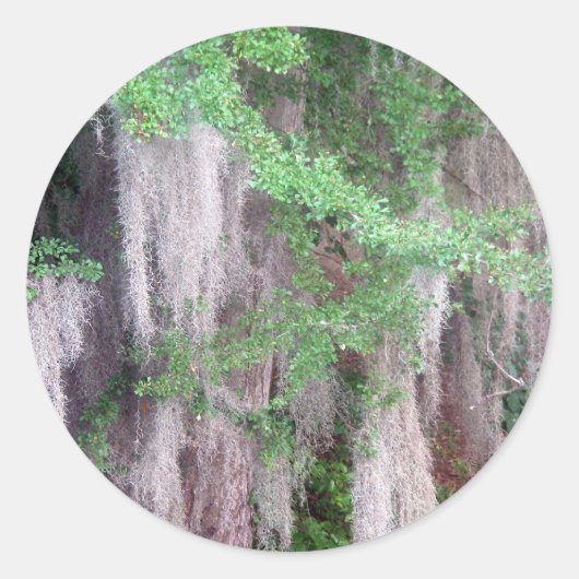 Spaans Mos Sticker (Voorkant)