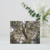 Spaans moss #1 briefkaart (Staand voorkant)