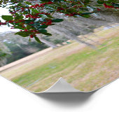 Spaans Moss en American Holly Poster (Hoek)