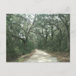 Spaans Moss, Georgetown County, SC Briefkaart