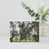 Spaans Moss Old South Briefkaart (Staand voorkant)