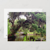 Spaans Moss Savannah Georgia Briefkaart (Voorkant / Achterkant)