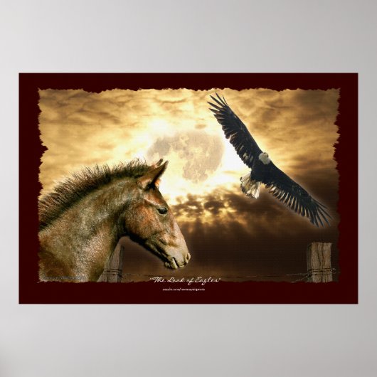 Spaans Mustang Horse & Bald Eagle Art Print (Voorkant)