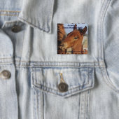 Spaans Mustang Veulen Button (In situ)