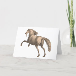Spaans paard - Wenskaart Kaart