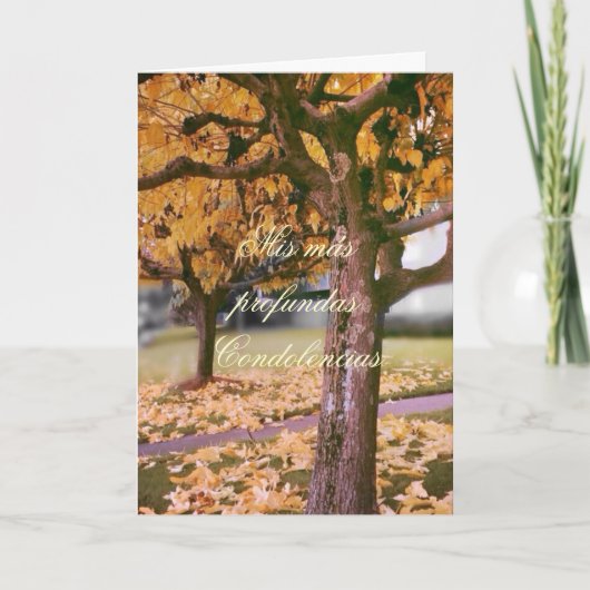 Spaans: Pesame/Sympathie Kaart (Voorkant)
