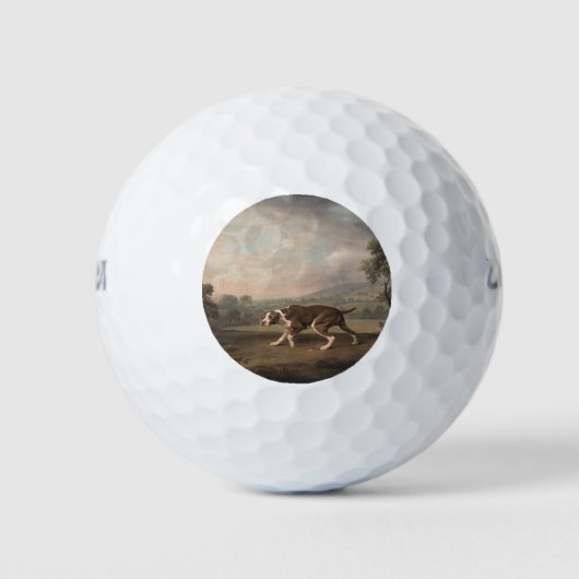 Spaans Pointer Dog (van George Stubbs) Golfballen (Voorkant)