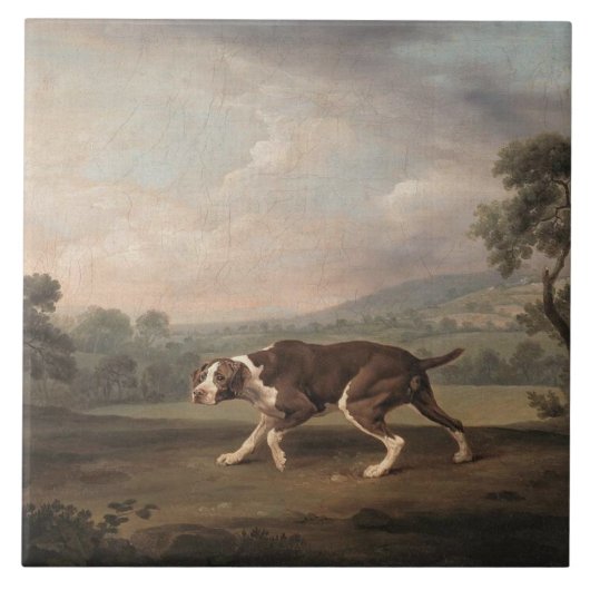 Spaans Pointer Dog (van George Stubbs) Tegeltje (Voorkant)