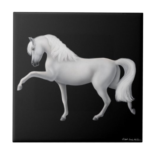 Spaans stapel voor Andalusië Tegeltje (Voorkant)