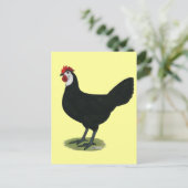 Spaans:  Witte hond Briefkaart (Staand voorkant)