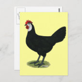 Spaans:  Witte hond Briefkaart (Voorkant / Achterkant)