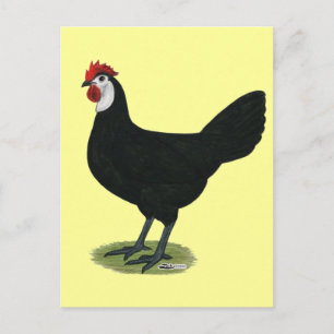 Spaans:  Witte hond Briefkaart