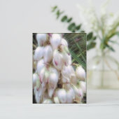 Spaanse Bayonet Yucca Flowers Briefkaart (Staand voorkant)