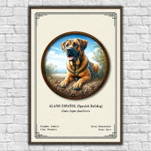Spaanse Bulldog (Alano Español) Zoologie Serie Poster