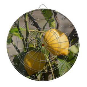 Spaanse Citroen Graphics Dartbord