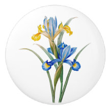 Spaanse iris door Pierre-Joseph Redouté