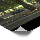 Spaanse moss in Georgië Poster (Hoek)