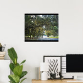 Spaanse moss in Georgië Poster (Thuiskantoor)