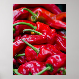 Spaanse rode paprika poster