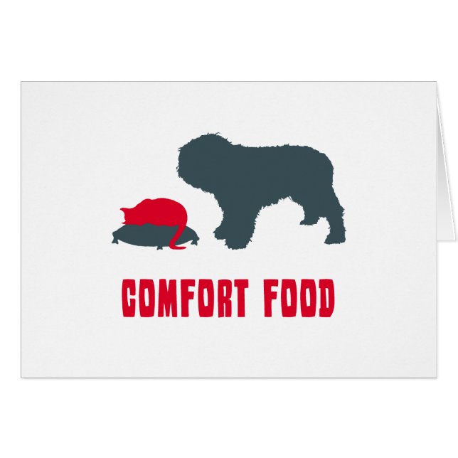 Spaanse waterhond (Voorkant Horizontaal)