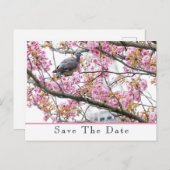 Spaar de datum aankondiging ansichtkaart (Voorkant / Achterkant)