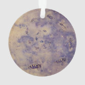 Space Bees Ornament (achterkant)