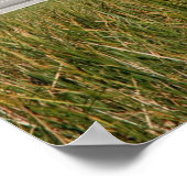 Space Shuttle Atlantis Poster (Hoek)