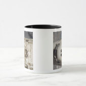 Space Shuttle Discovery 12 Mok (Midden)