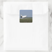 Space shuttle Discovery landt op Runway 33 4 Vierkante Sticker (Tas)