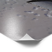 Space Shuttle Endeavor 15 Foto Afdruk (Hoek)