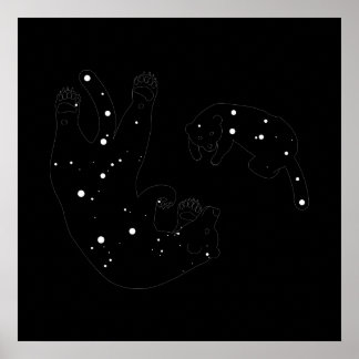 Spacebons Afdrukken Poster