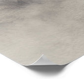 Spaceshuttle Discovery (STS-119) Poster (Hoek)