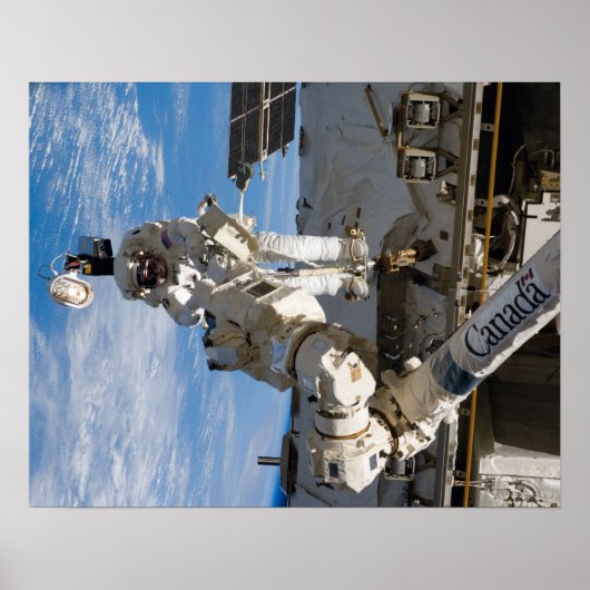 Spacewalk (STS-119) Poster (Voorkant)