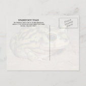 Spadefoot Toad, White Sands National Park Briefkaa Briefkaart (Achterkant)