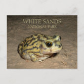 Spadefoot Toad, White Sands National Park Briefkaa Briefkaart (Voorkant)