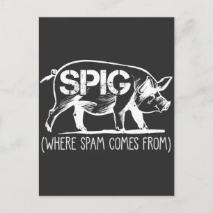 Spam Mail Employee Spig Pig Email Trash Folder Briefkaart