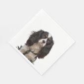SPANIEL 1A SERVETTEN (Hoek)