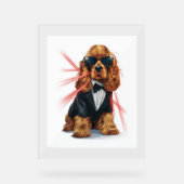 Spaniel - Agent Secret Chien (Recto)