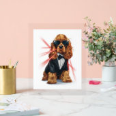 Spaniel - Agent Secret Chien (Mariage)