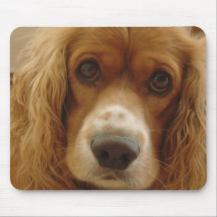 Spaniel Breed Muismat