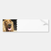 Spaniel Dog Bumpersticker (Voorkant)